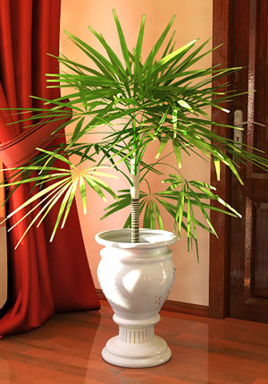 Растения, напольная ваза. Дизайн интерьеров